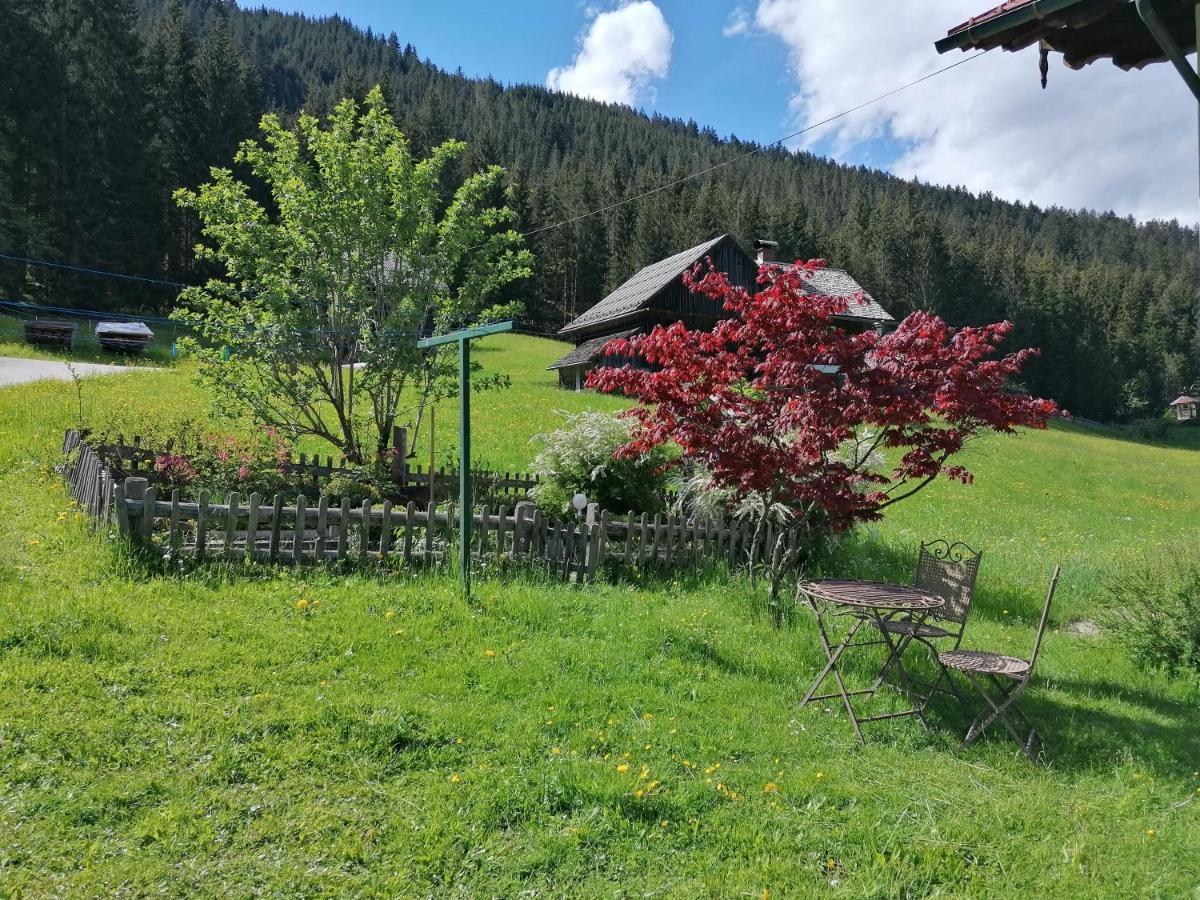 Ferienwohnungen Asterbach Gosau Esterno foto